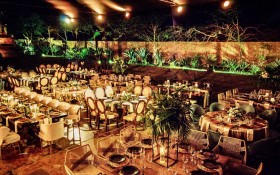 24-9-Dianette&Fernando-39.jpeg
